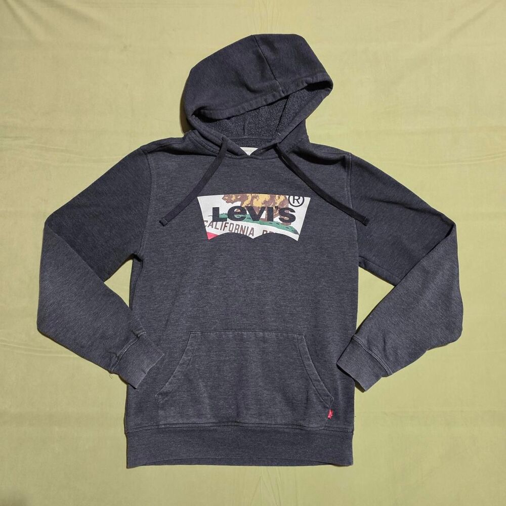 Levi's California Republic Bear hoodie men's small with bear graphic